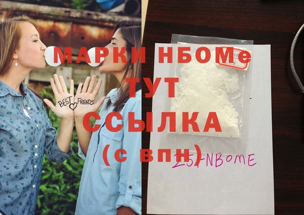 индика Верхний Тагил