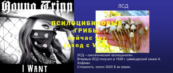 mix Вяземский