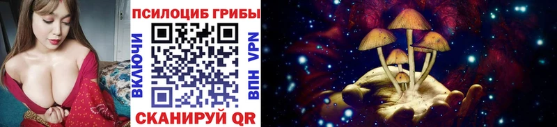 кракен сайт  Железноводск  shop телеграм  купить  сайты  Псилоцибиновые грибы MAGIC MUSHROOMS 