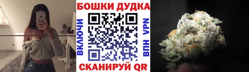 MEGA маркетплейс  продажа наркотиков  Железноводск  Конопля сатива 